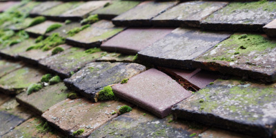 Dagenham roof repair costs
